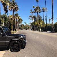 Отзыв от Андрей - DTV виза